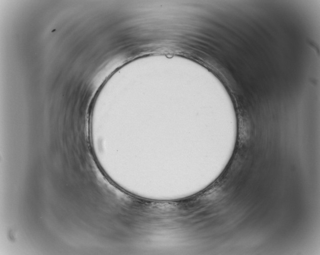 X0000103941095200810171809