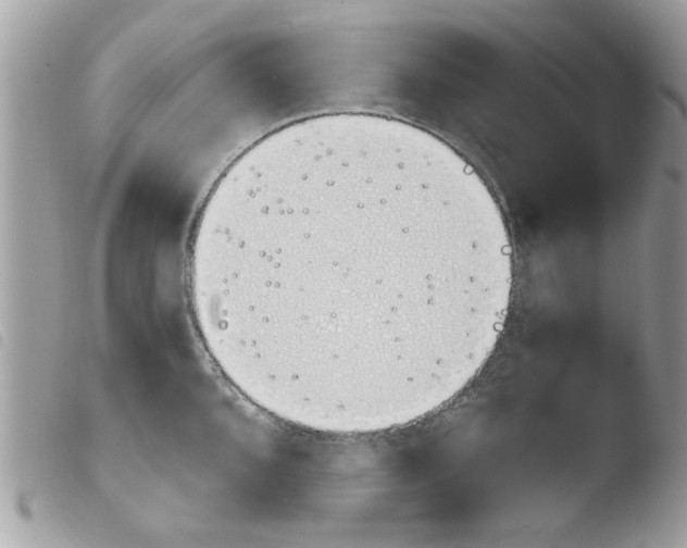 X0000103941096200810171809