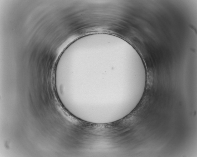 X0000103941098200810171809