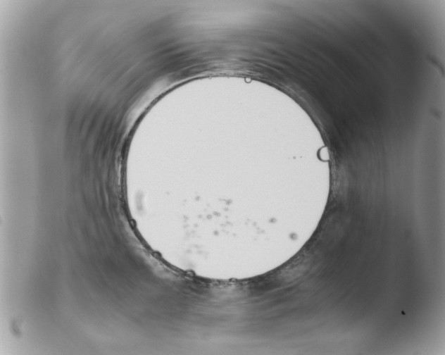 X0000103941099200810171809