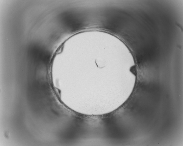 X0000103941101200810171809