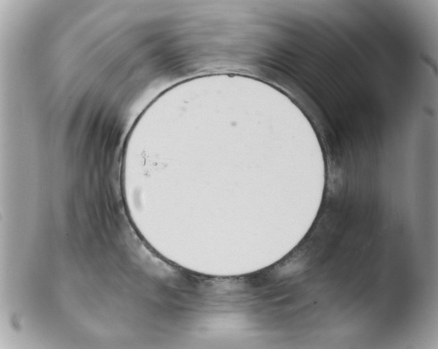 X0000103941102200810171809