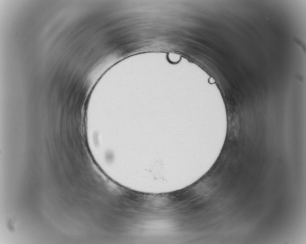 X0000103941103200810171809