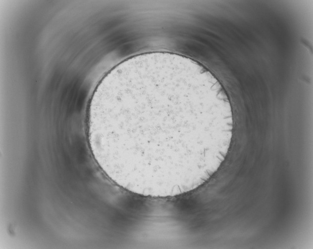 X0000103941104200810171809