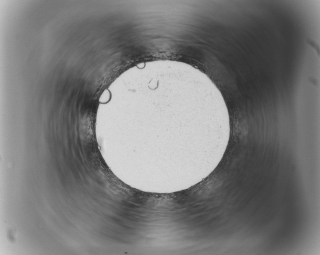 X0000103941106200810171808