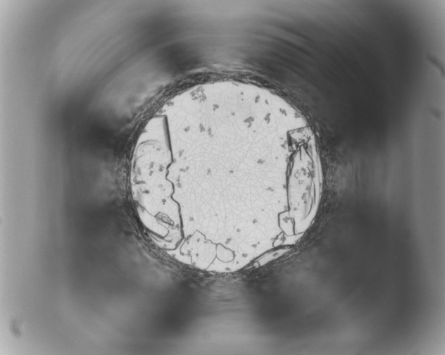 X0000103941110200810171808