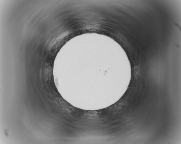 X0000103941111200810171808