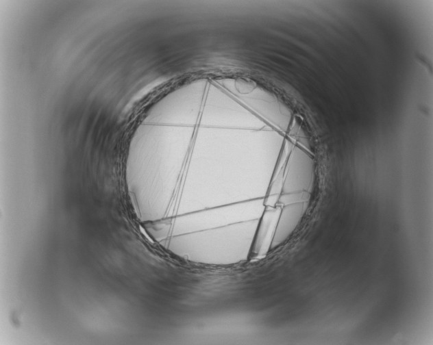 X0000103941112200810171808