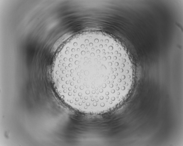 X0000103941113200810171808