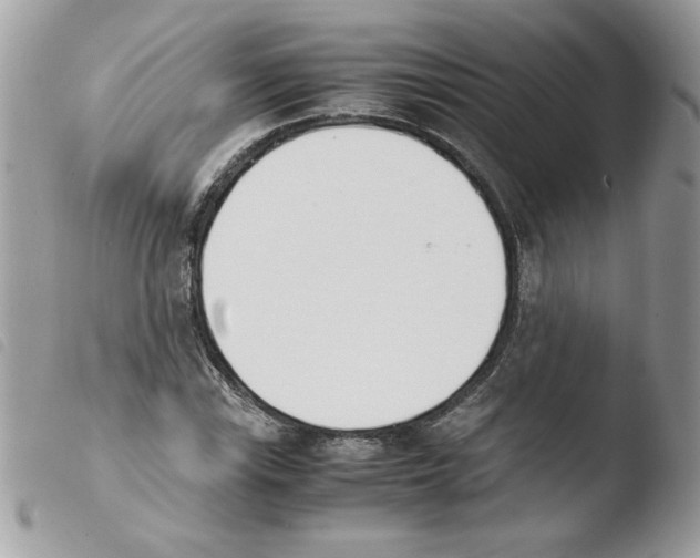 X0000103941115200810171808