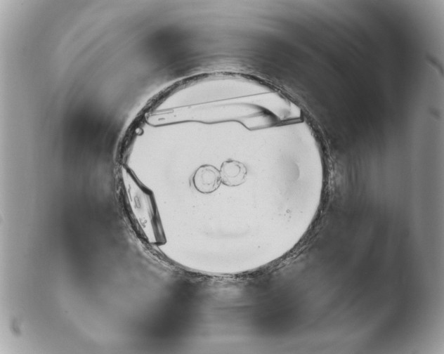 X0000103941116200810171808