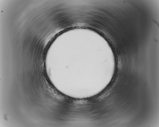 X0000103941117200810171808