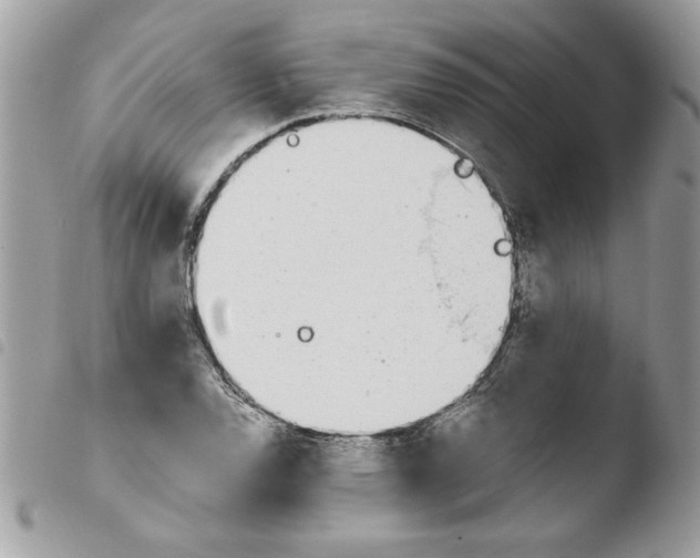 X0000103941120200810171808