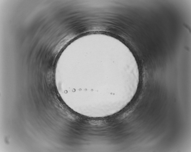 X0000103941121200810171809