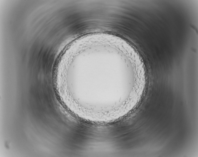 X0000103941122200810171809