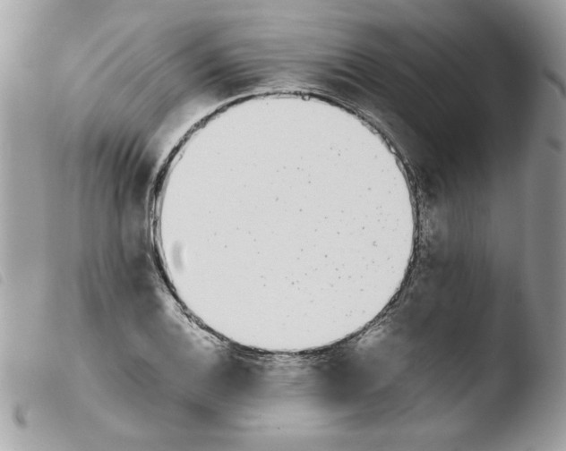 X0000103941124200810171809