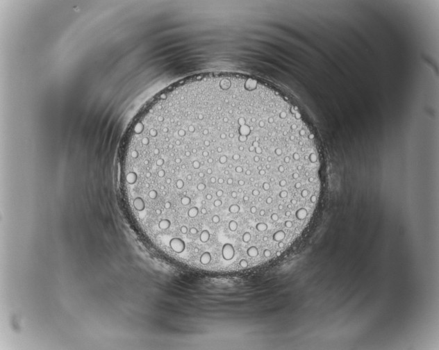 X0000103941125200810171809