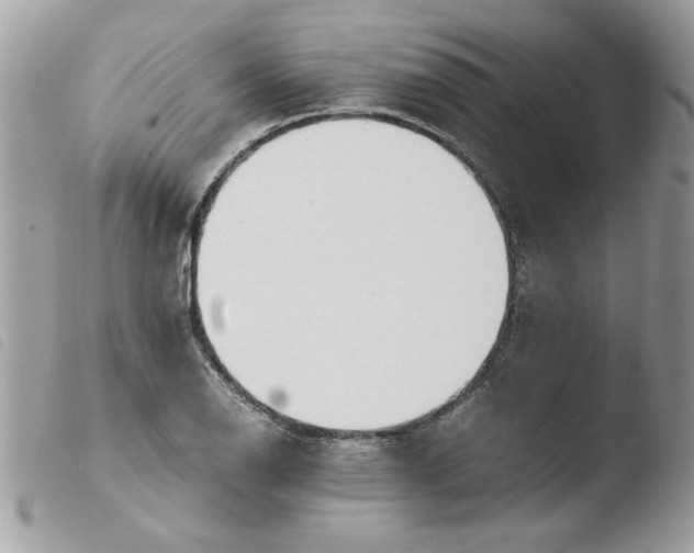 X0000103941126200810171809