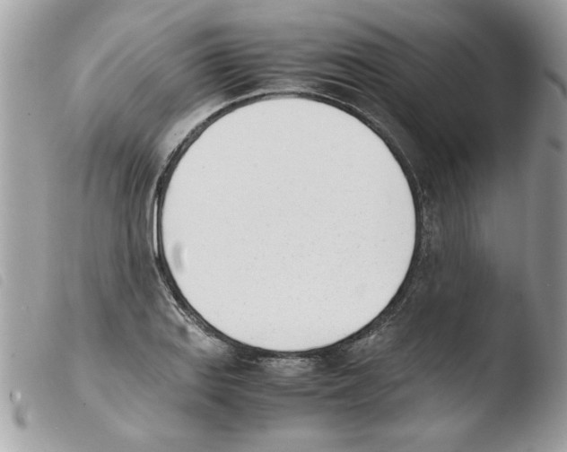 X0000103941127200810171809