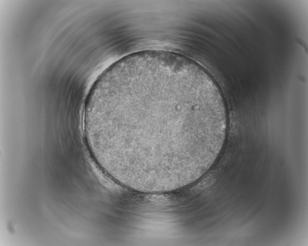 X0000103941128200810171809