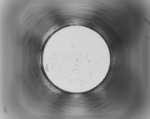 X0000103941130200810171809