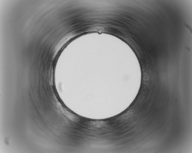 X0000103941131200810171809