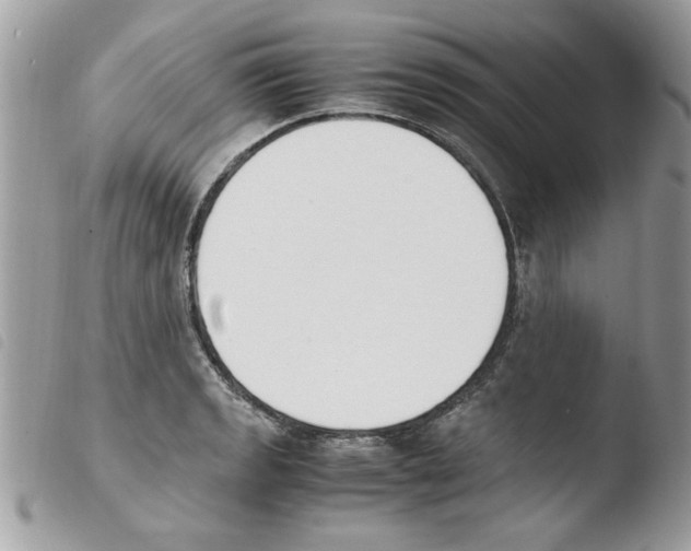 X0000103941133200810171809