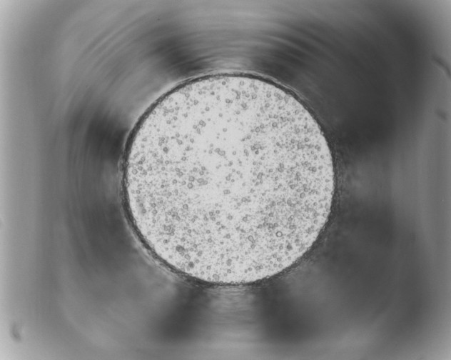 X0000103941134200810171809