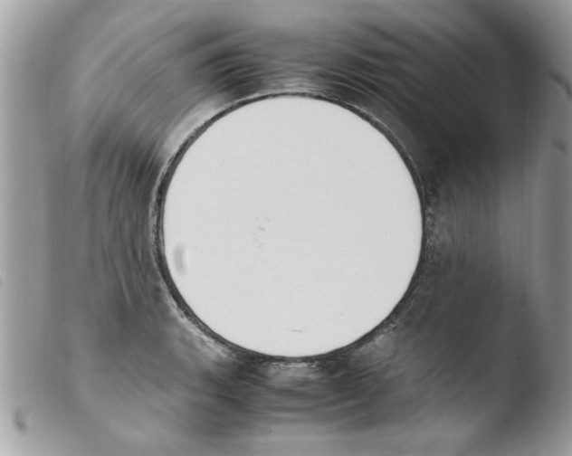 X0000103941135200810171809