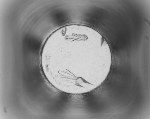 X0000103941136200810171809