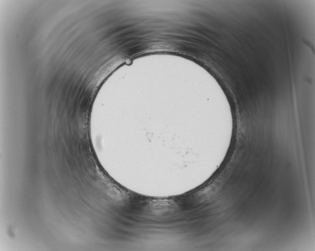 X0000103941137200810171809