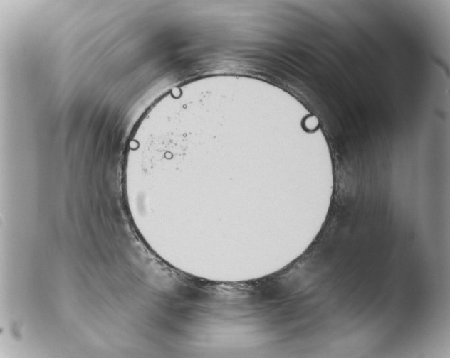 X0000103941138200810171809