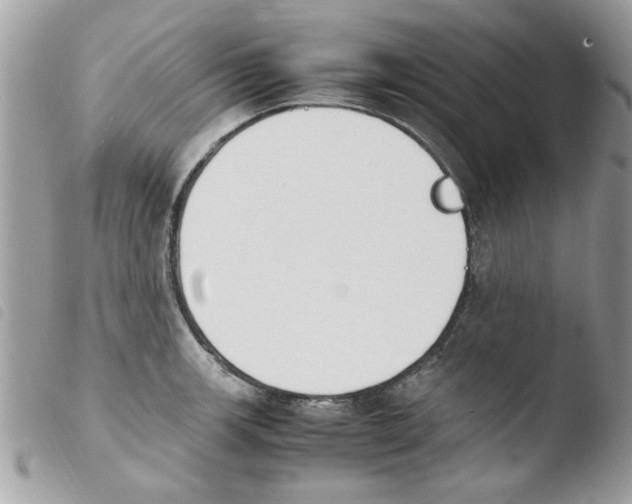 X0000103941139200810171809