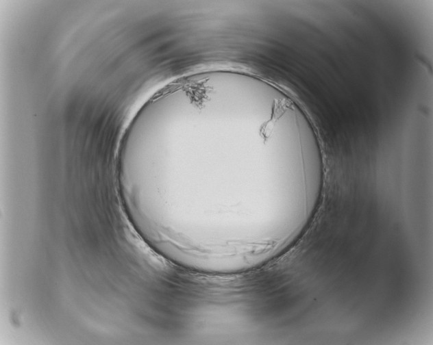 X0000103941140200810171809