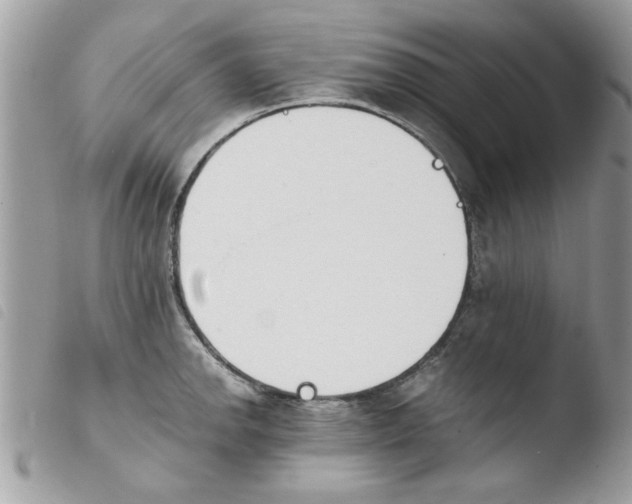 X0000103941142200810171809