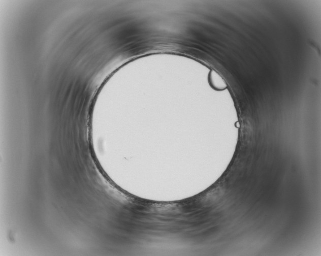 X0000103941143200810171809