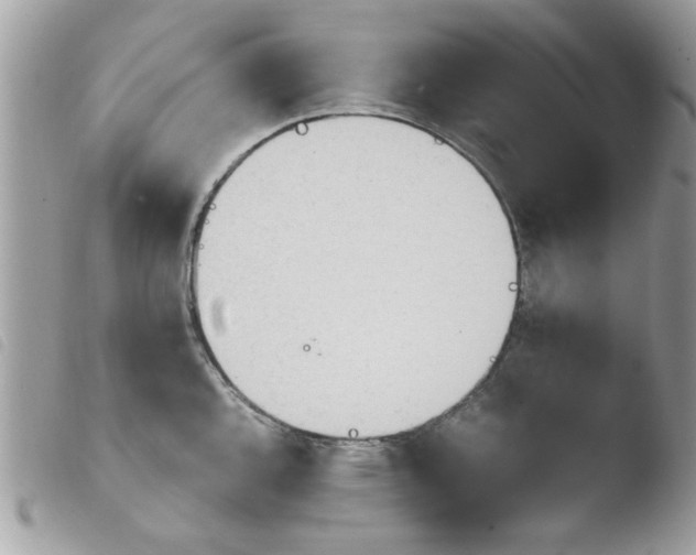 X0000103941144200810171809