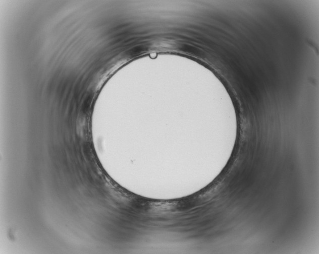 X0000103941145200810171809