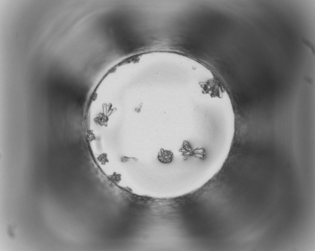 X0000103941148200810171809