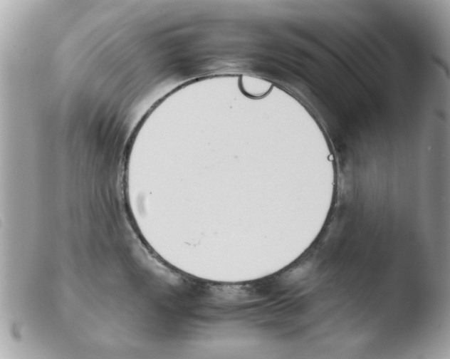 X0000103941149200810171809