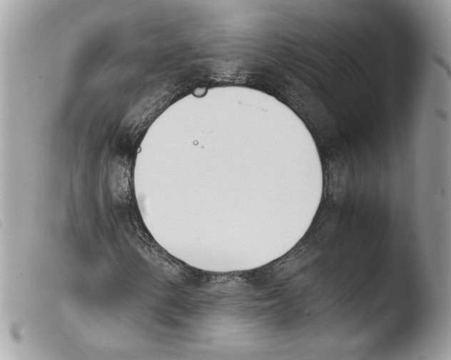 X0000103941154200810171808