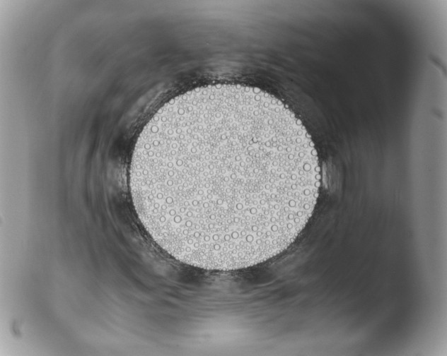 X0000103941155200810171808