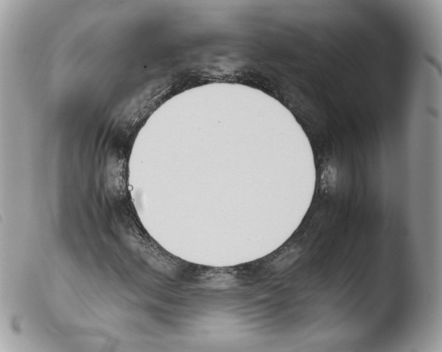 X0000103941156200810171808