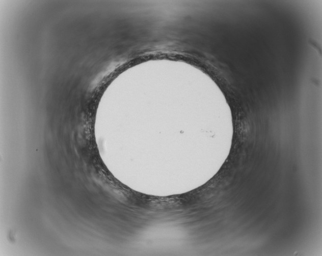 X0000103941159200810171808