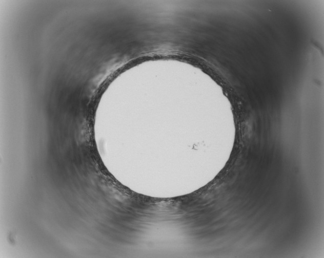 X0000103941160200810171808