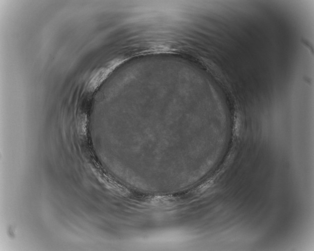 X0000103941161200810171808