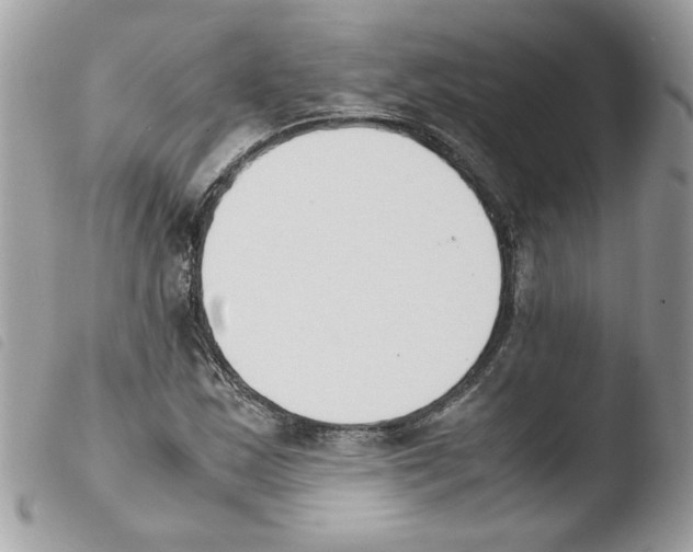 X0000103941163200810171808