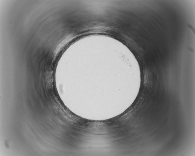 X0000103941164200810171808