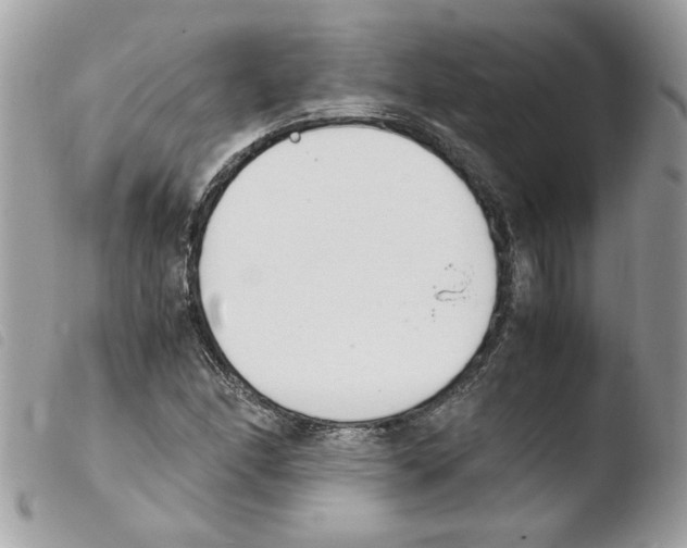 X0000103941166200810171808