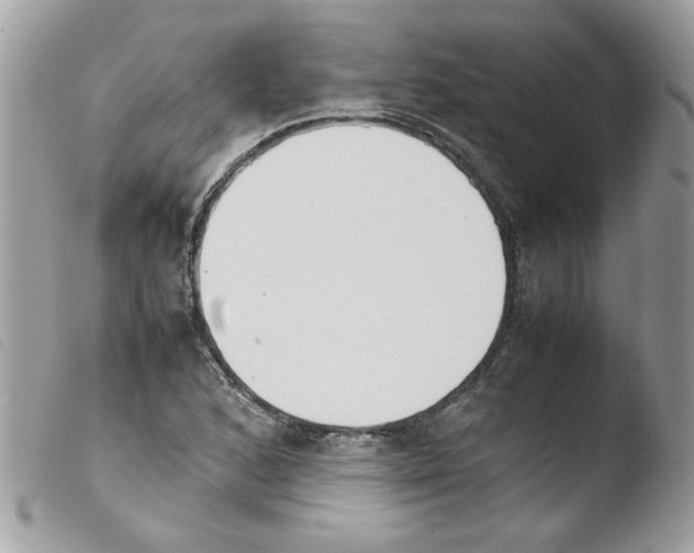 X0000103941168200810171808